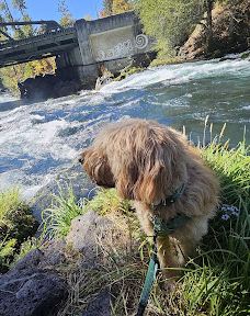 Husum Falls-克利基塔特县