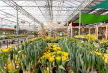 Floralia Garden Center AG购物图片