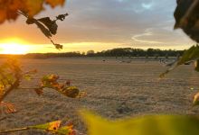 Camping Boersberg景点图片