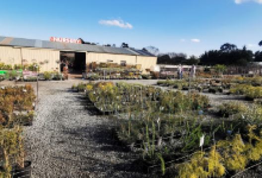 Pearcedale Garden Centre购物图片