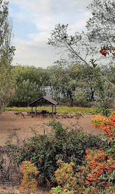 Grajera Park-洛格罗尼奥