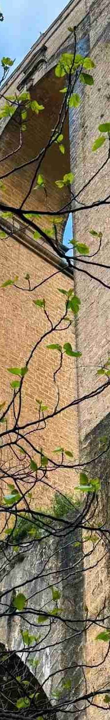 埃尔塔霍峡谷-龙达-YoYo_0Z2R3W2F