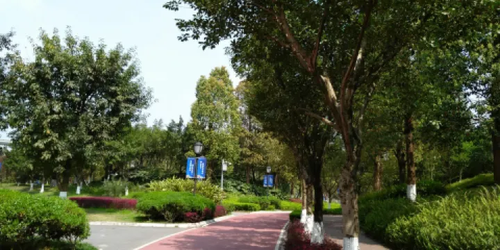 大學城滑板公園