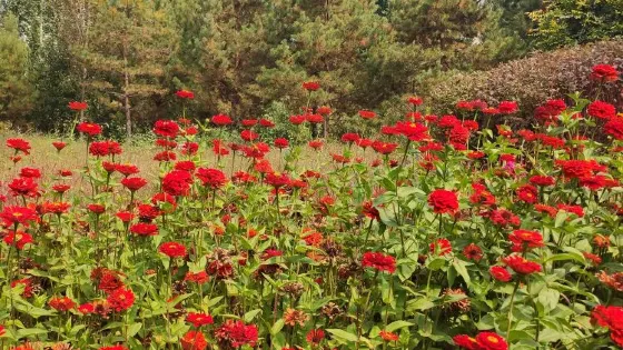 社會主義核心價值觀主題公園
