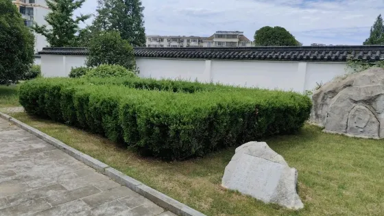 棺槨木陳列
