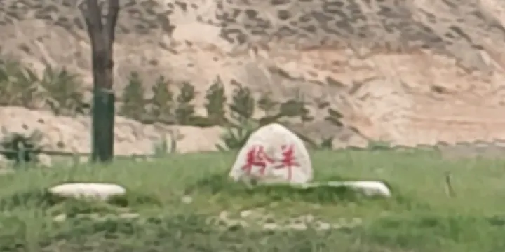 蘭州野生動物園-羚羊