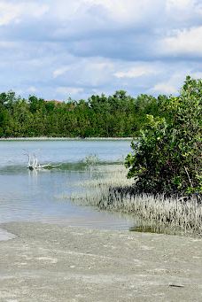 Tigertail Beach-马可岛