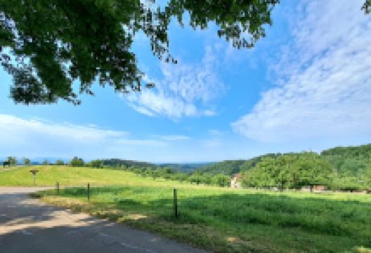 Glasig Sandgrube景点图片