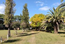 Camping UOM Esperanza景点图片