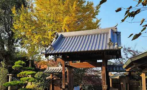 王至森寺