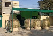 Alliance Francaise Lahore景点图片