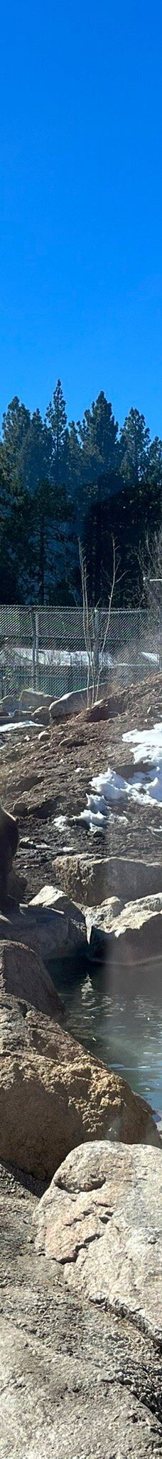 大熊湖动物园-大熊湖