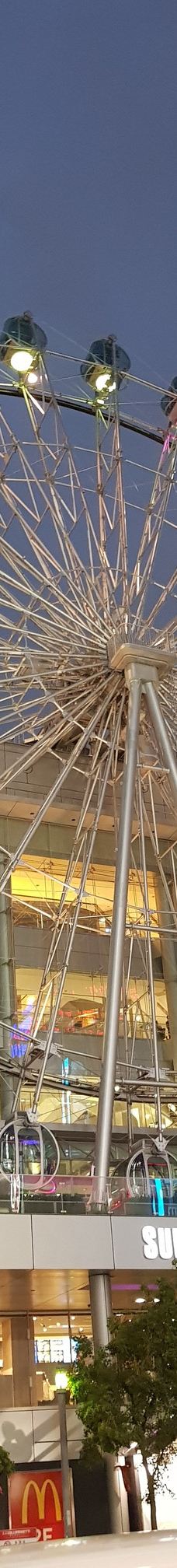 阳光盛荣购物中心-名古屋