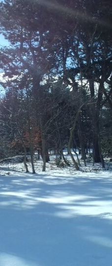 Albert Park-米德尔斯堡