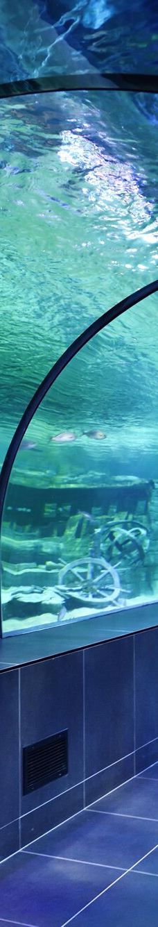 ViaSea水族馆-伊斯坦布尔