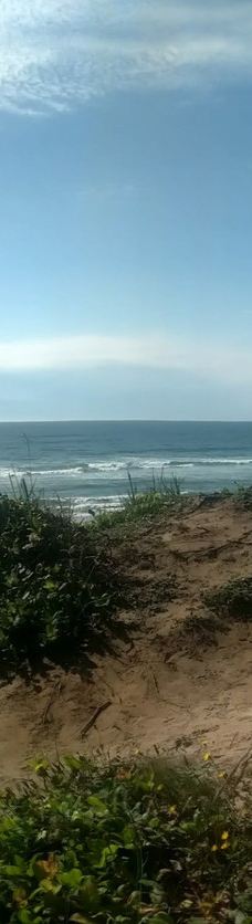 South Beach State Park-纽波特