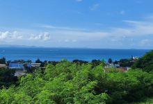 Black Beard Sports购物图片