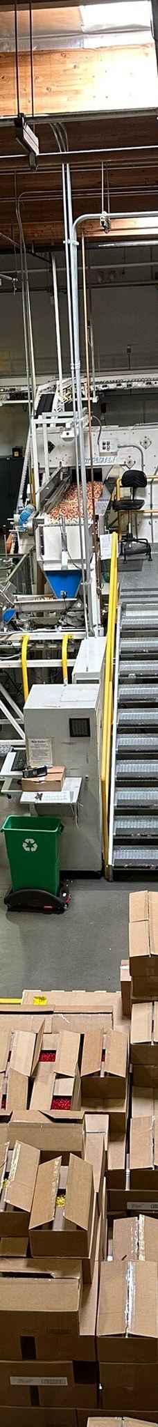 Jelly Belly Factory Tour-费尔菲尔德