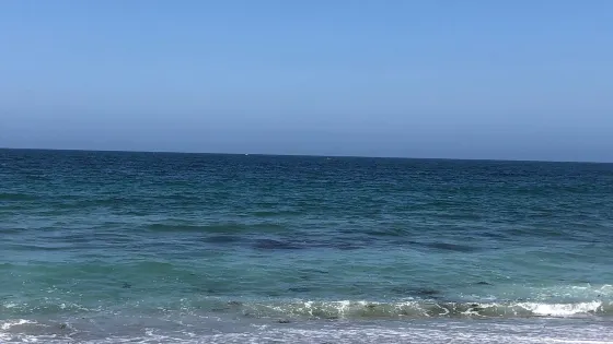 Torrance State Beach