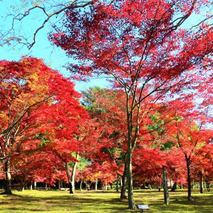 日本大阪+淡路岛+高松+冈山+神户7日6晚私家团