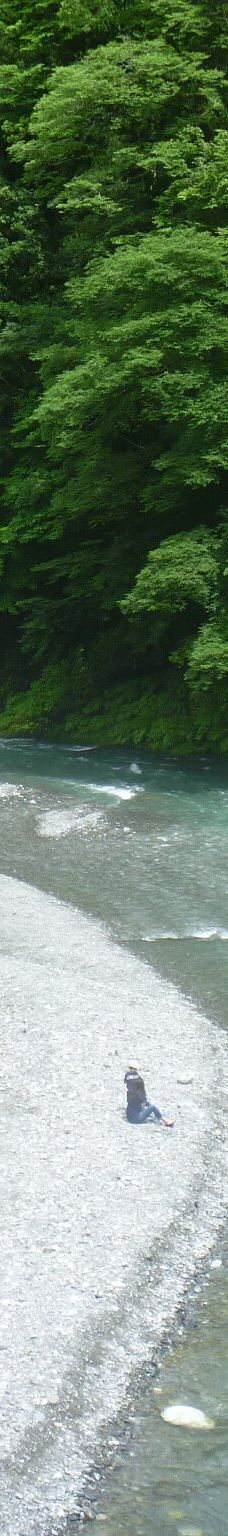 多摩川-东京