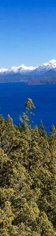 Parque Ecoturistico Cerro Viejo-圣卡洛斯-德巴里洛切