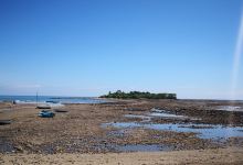 Isla de Cabuya景点图片