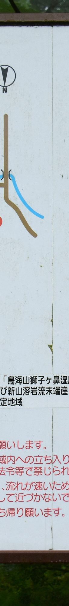 Nakajimadai Shishigahana Marsh-仁贺保市