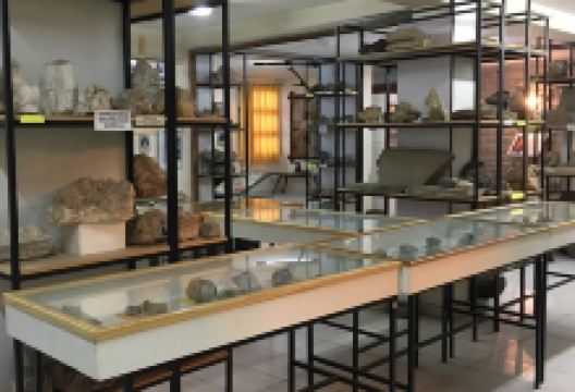 Museo de Ciencia Natural景点图片