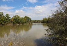 Lorne C. Henderson Conservation Area景点图片