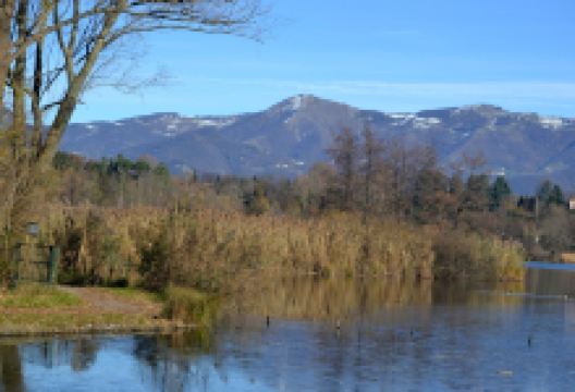 Lago di Sartirana景点图片