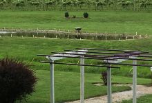 Cache River Basin Vineyard & Winery景点图片
