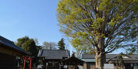 小泉神社