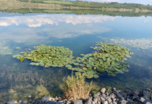 Jezero Milada景点图片