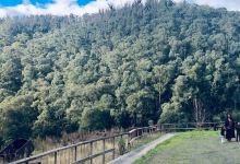 Walhalla Tramline Walkway景点图片