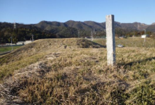 No Tombs景点图片