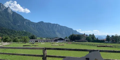 Haflingergestüt Fohlenhof