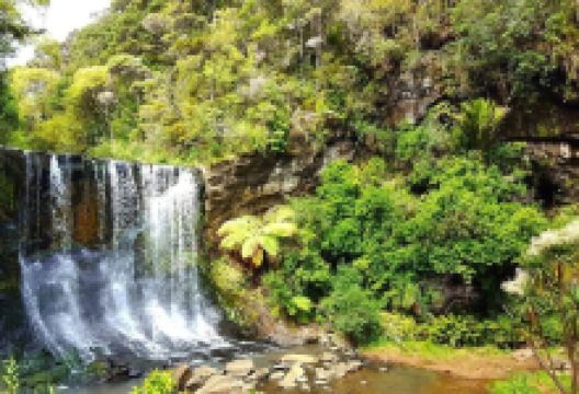Mokoroa Falls景点图片