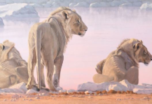 Fine Art Gallery景点图片