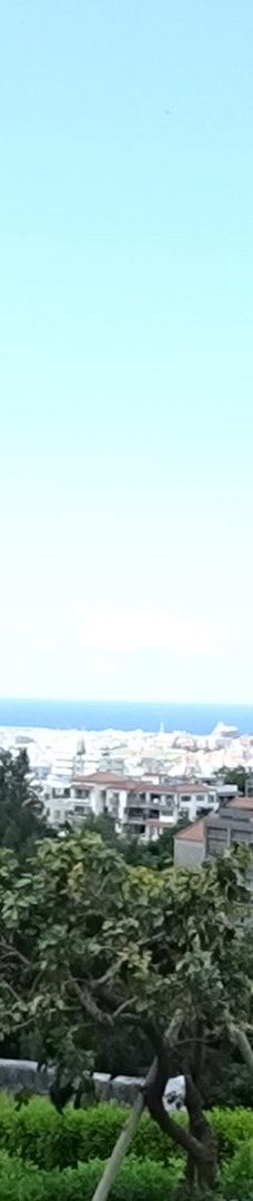 冲绳首里城公园-那霸