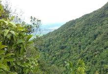 Mount Arayat National Park景点图片