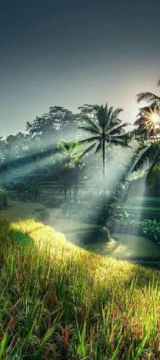 Faith Tabernacle, Canaanland, Ota-Ota