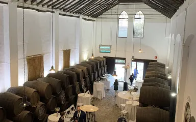 Museo Bodega El Alfoli