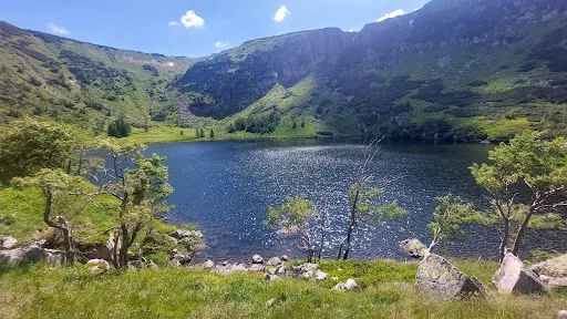 Karpatka