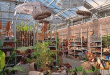 Tuincentrum De Molen - Avelgem购物图片