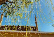 Masjid Nuur景点图片