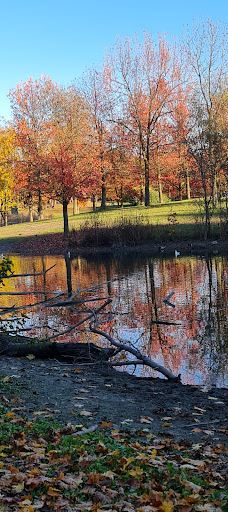 Parco della Pellerina-都灵