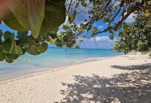 Dominicus Beach景点图片