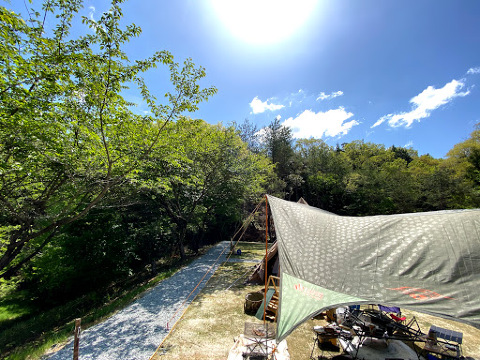 Shinji Furusato Forest Park餐厅图片