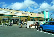 Green Station Tomiya购物图片